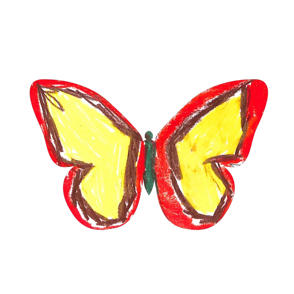 Original Butterfly Image