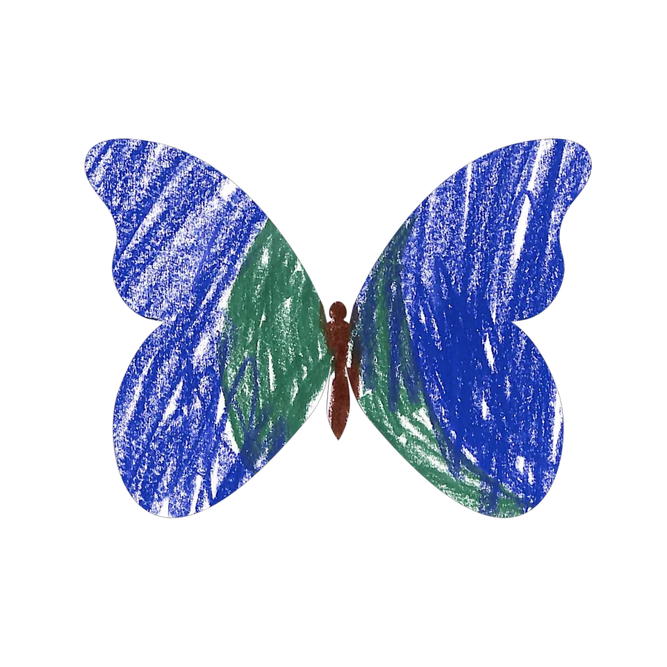 Original Butterfly Image