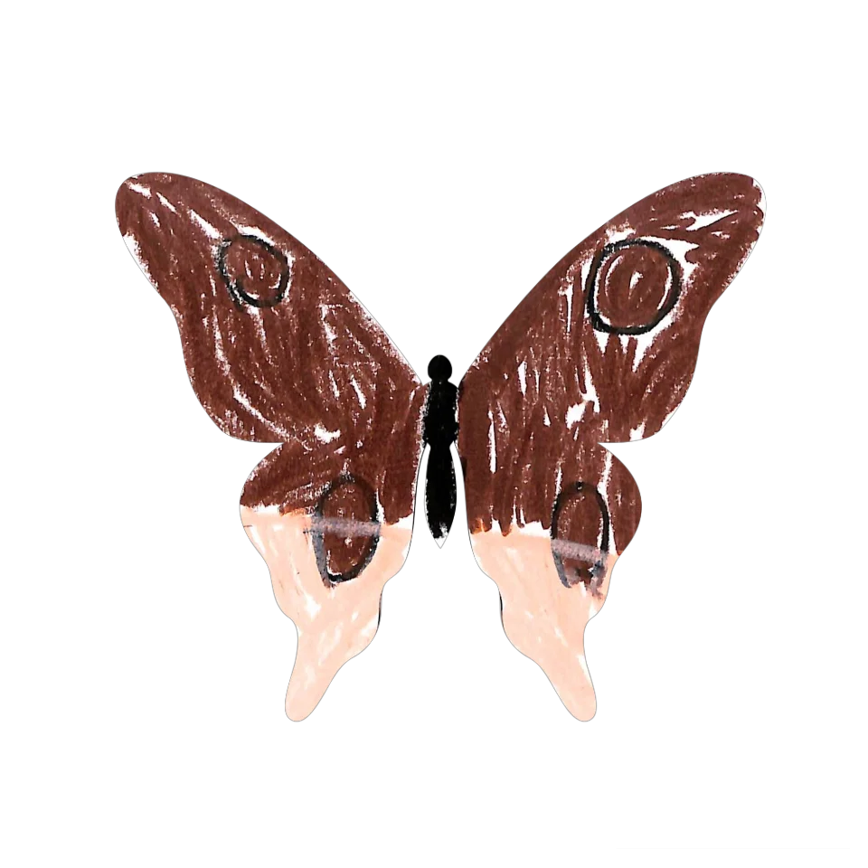 Original Butterfly Image