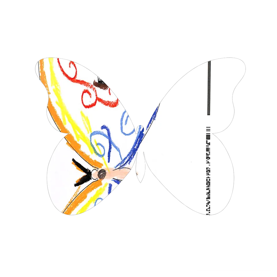 Original Butterfly Image