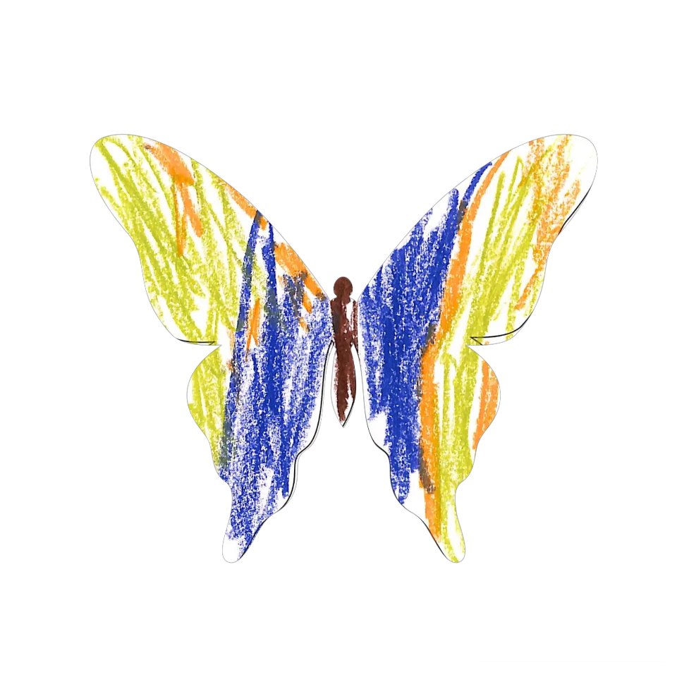 Original Butterfly Image
