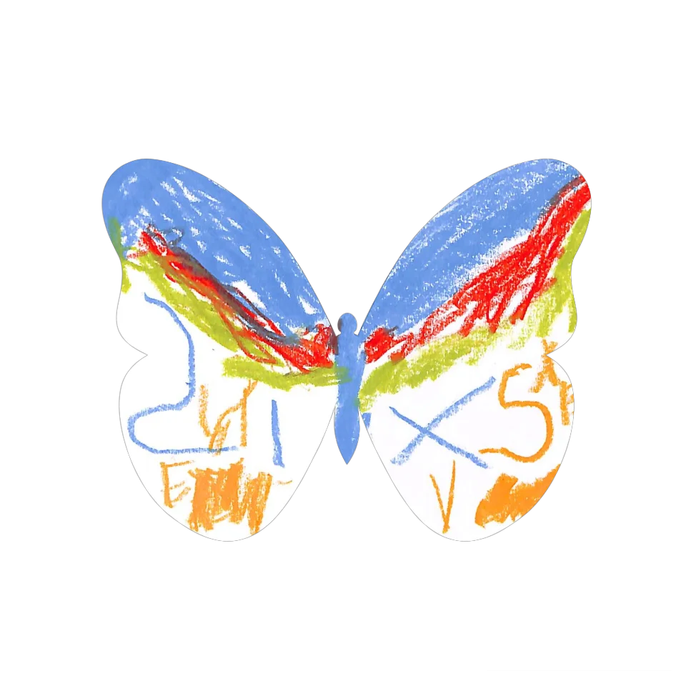 Original Butterfly Image