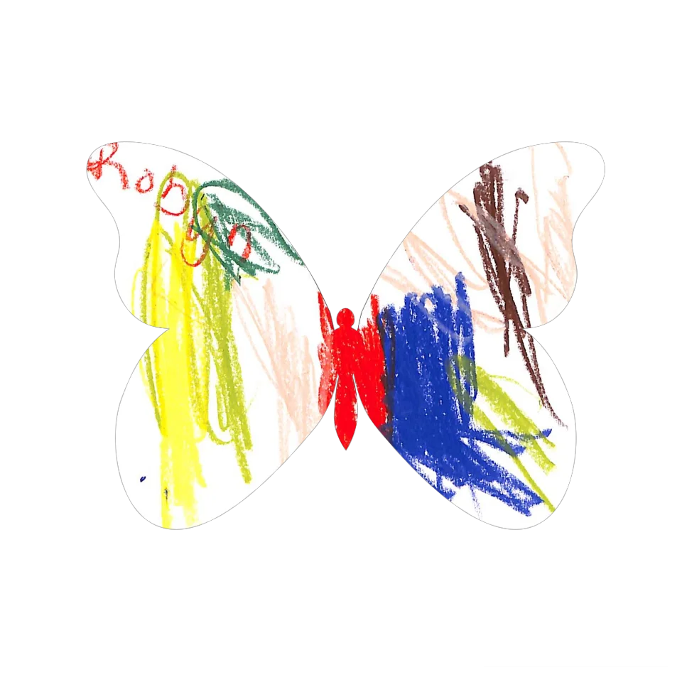 Original Butterfly Image