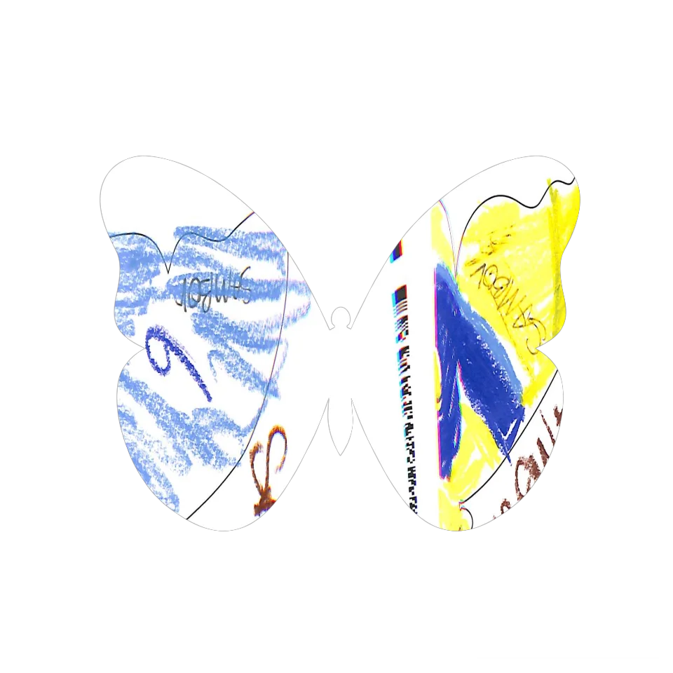 Original Butterfly Image