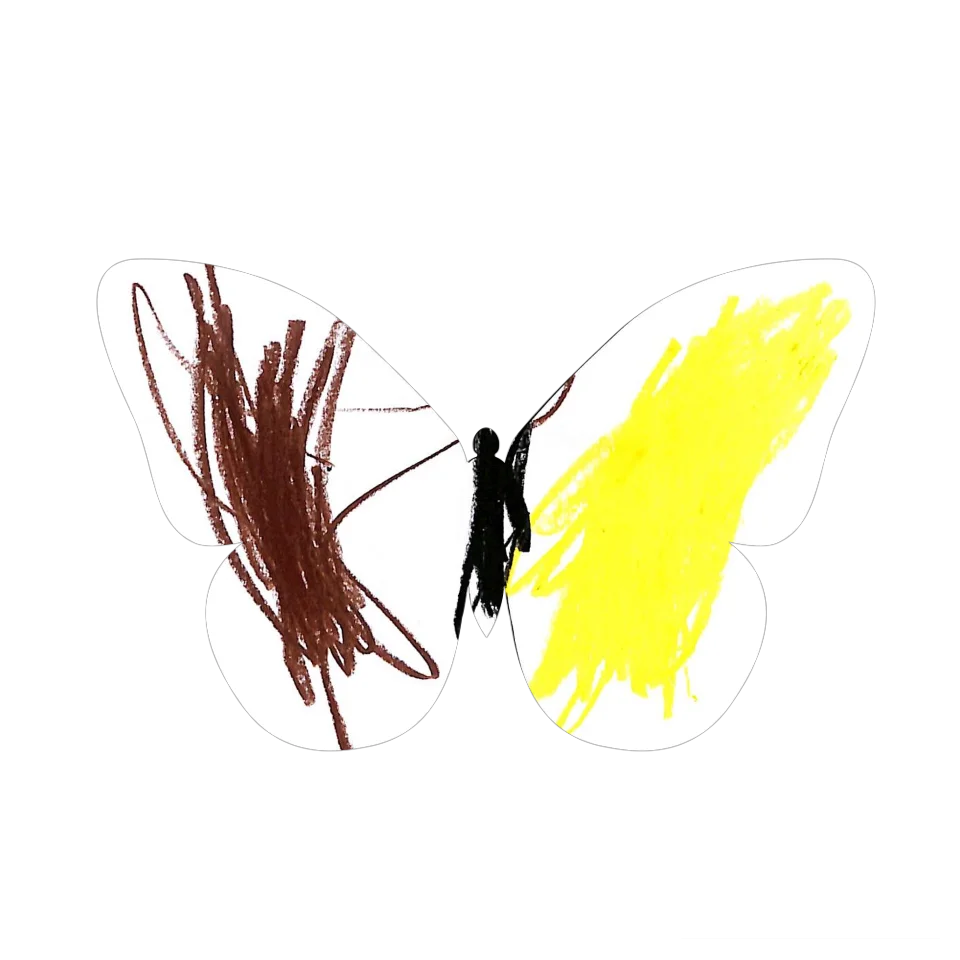 Original Butterfly Image