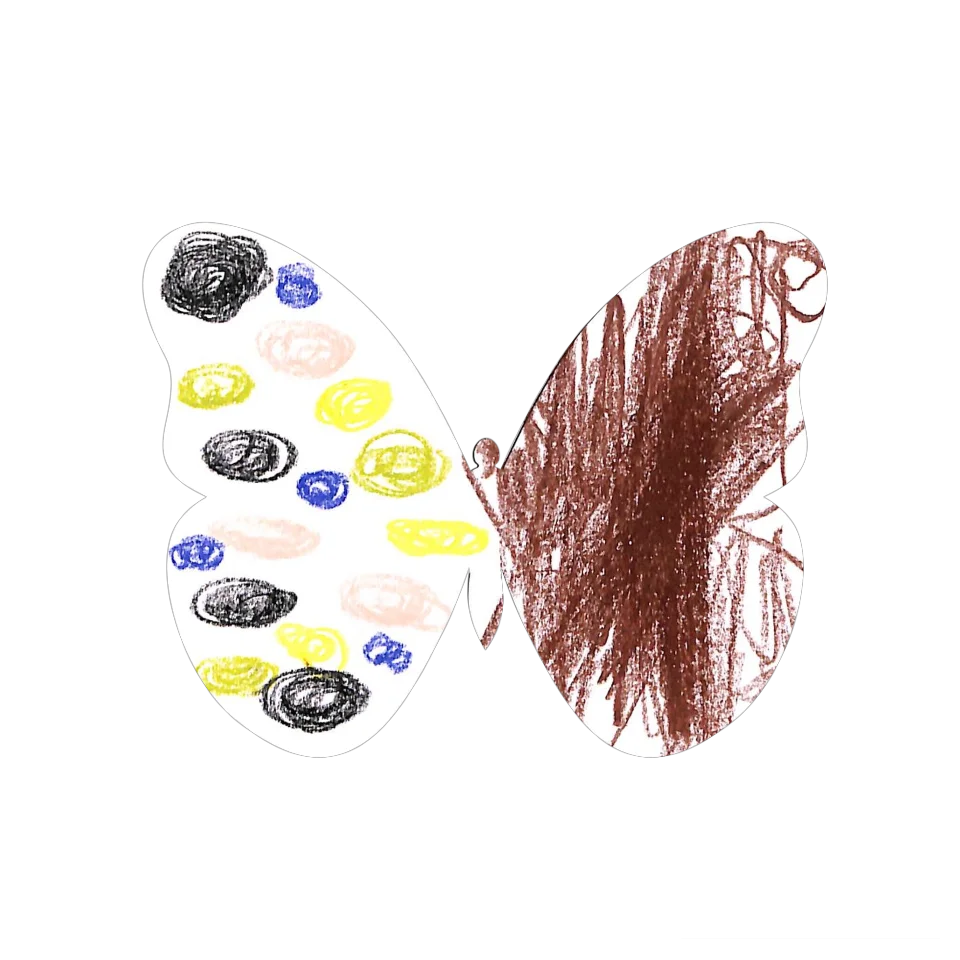 Original Butterfly Image