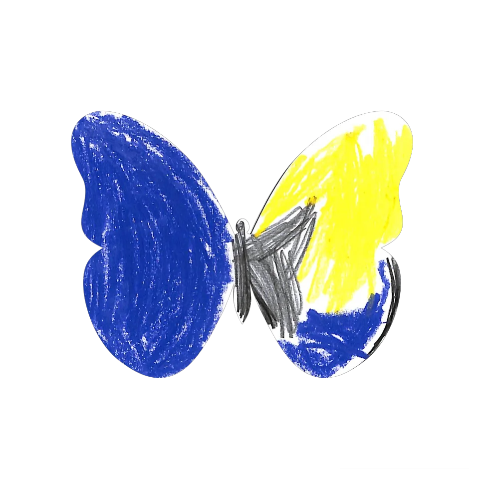 Original Butterfly Image