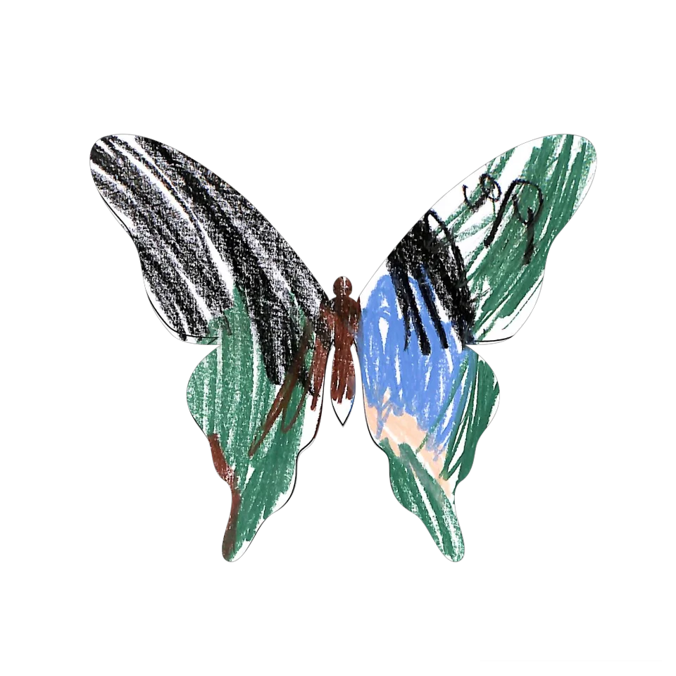 Original Butterfly Image