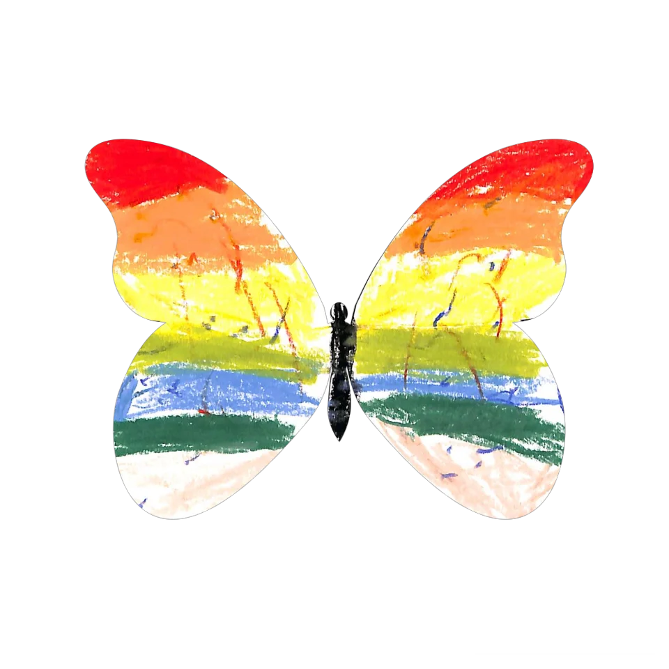 Original Butterfly Image