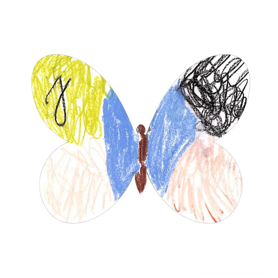 Original Butterfly Image
