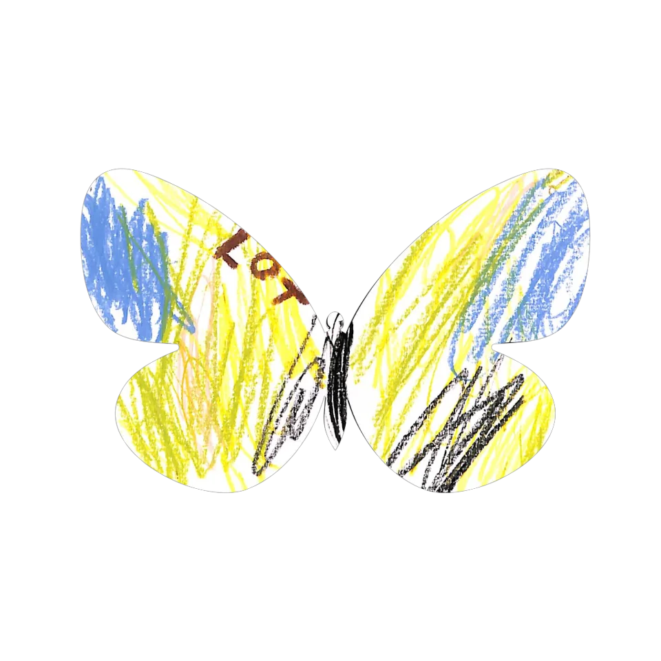 Original Butterfly Image