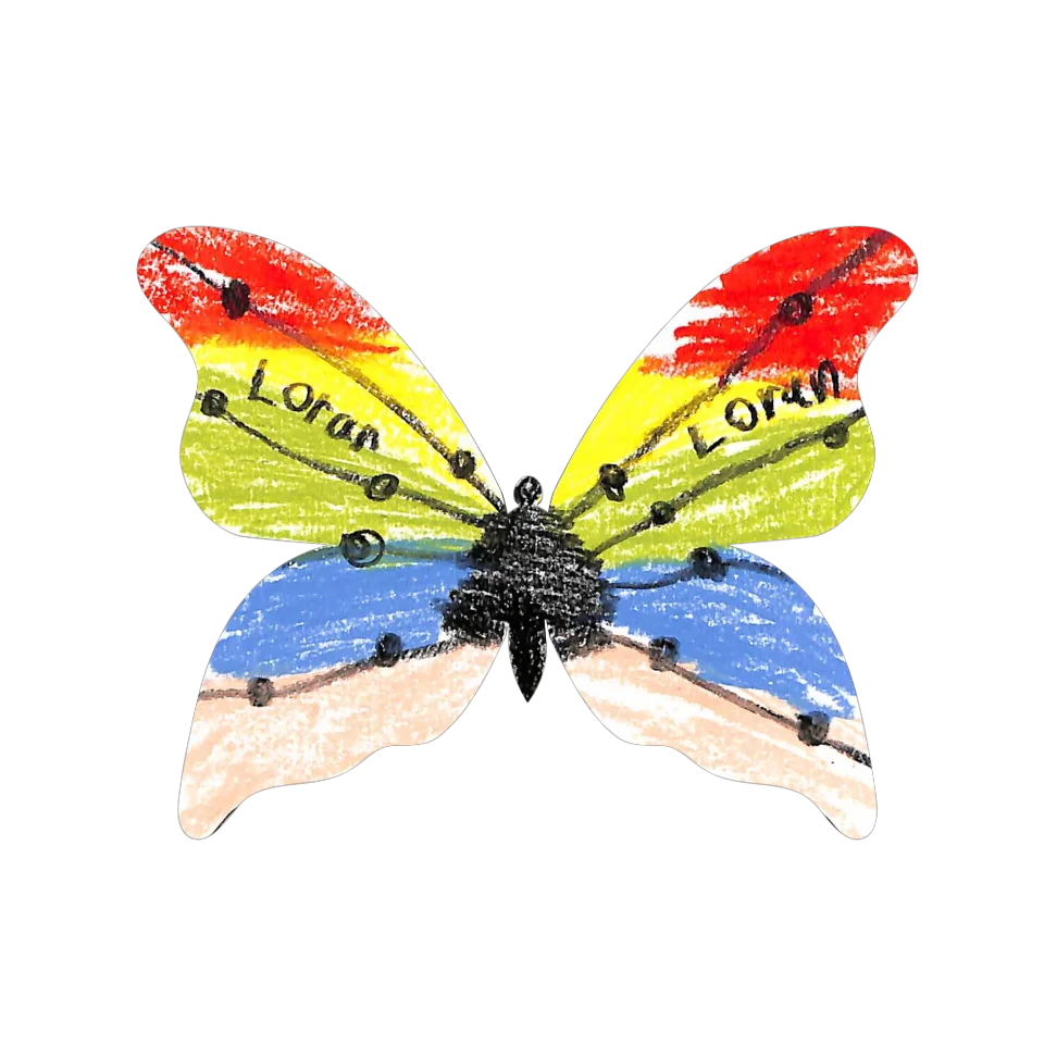 Original Butterfly Image