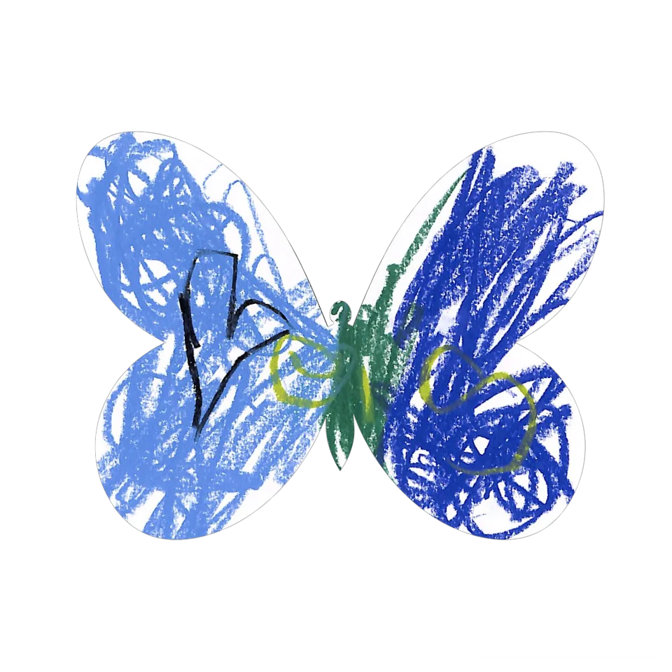 Original Butterfly Image
