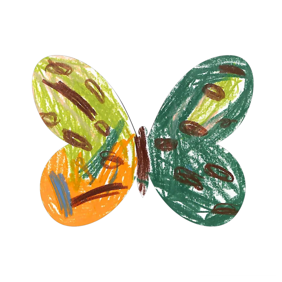 Original Butterfly Image
