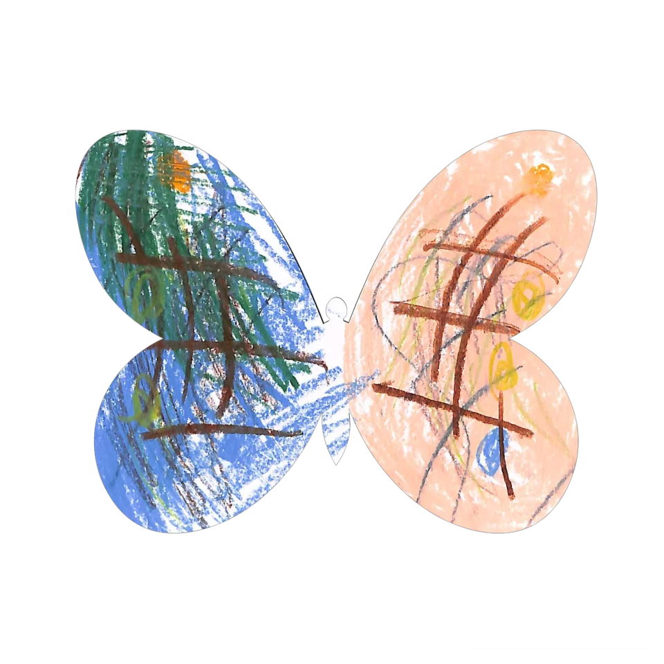 Original Butterfly Image