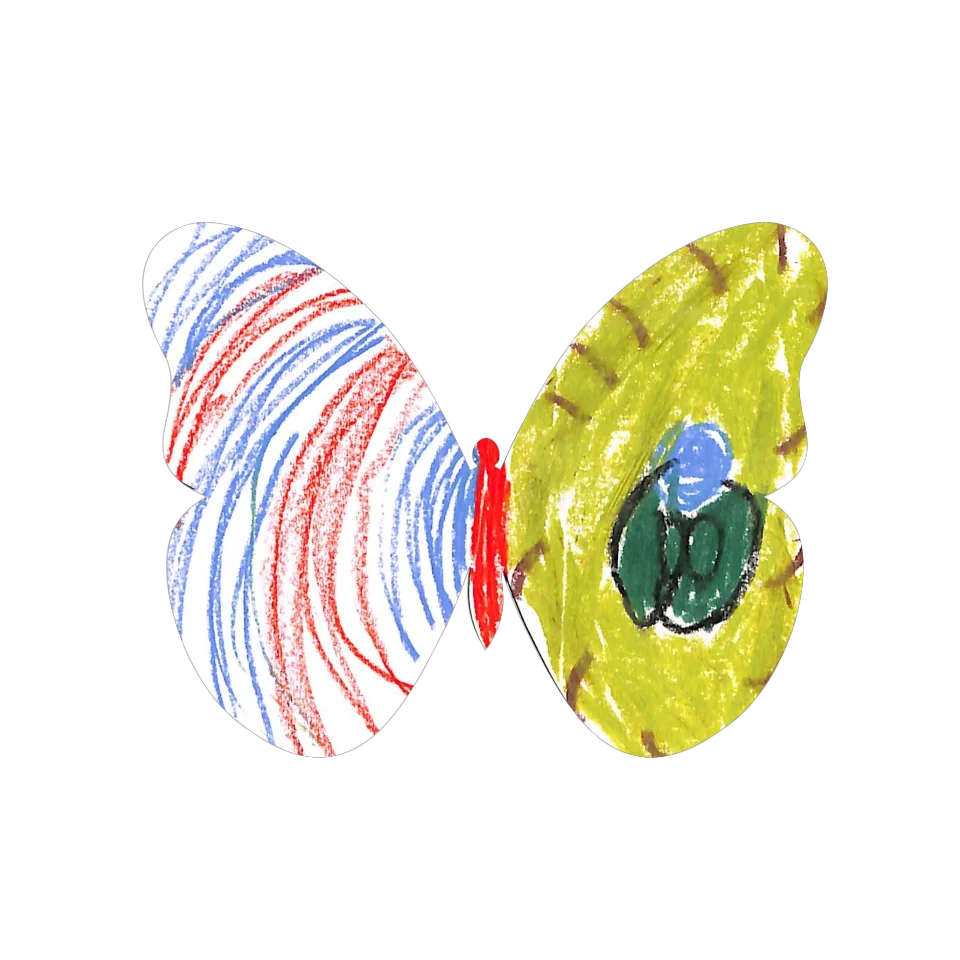 Original Butterfly Image