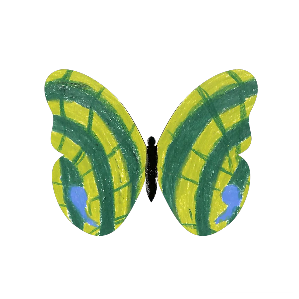 Original Butterfly Image
