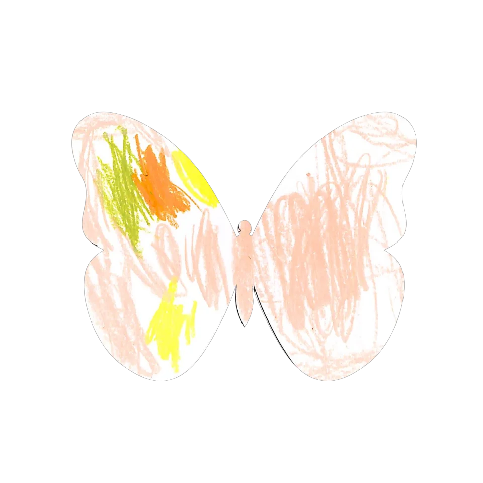 Original Butterfly Image