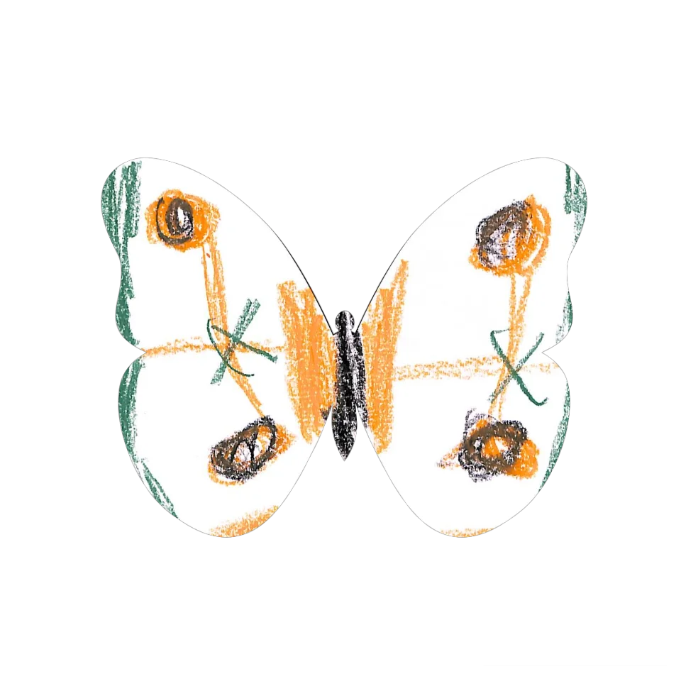 Original Butterfly Image
