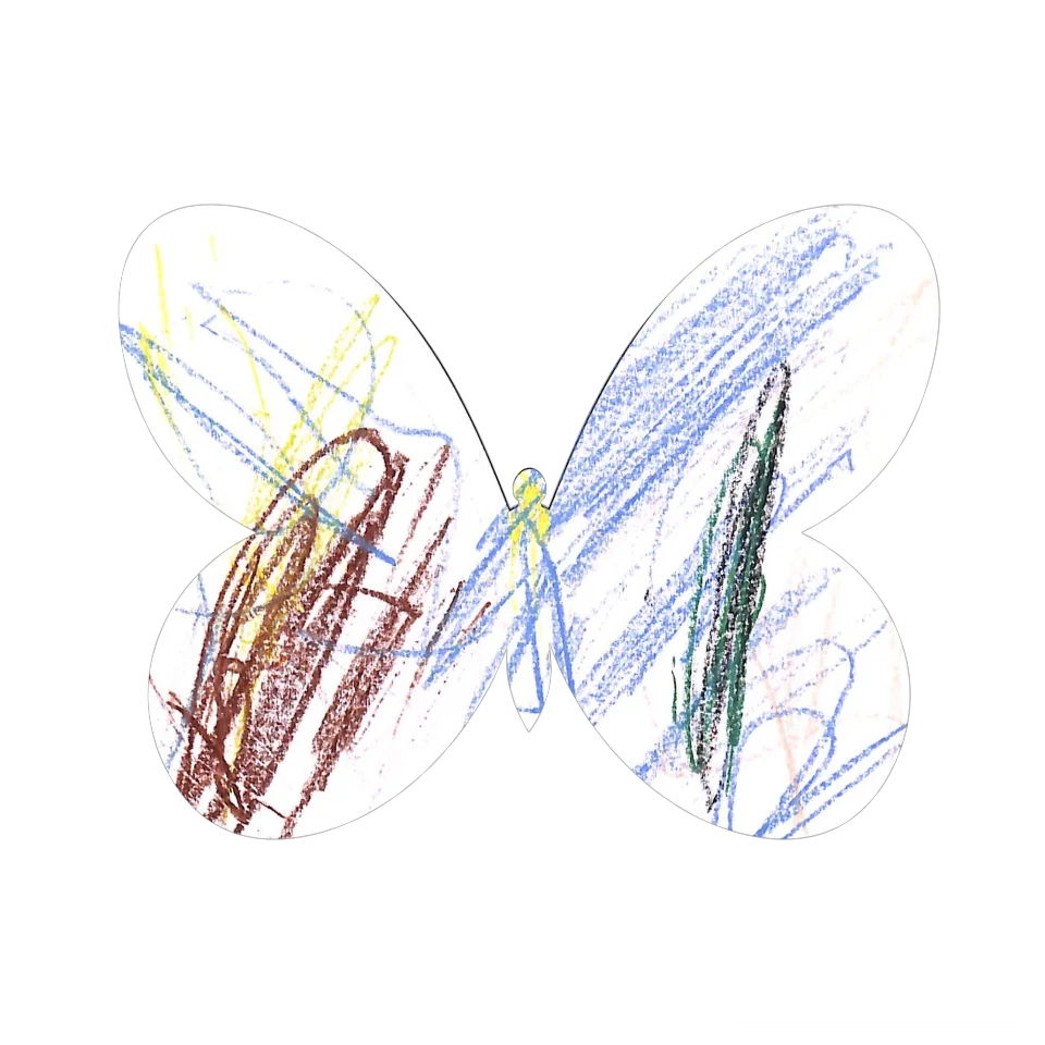 Original Butterfly Image
