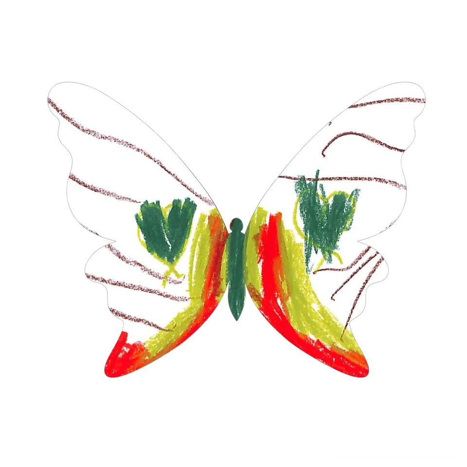 Original Butterfly Image