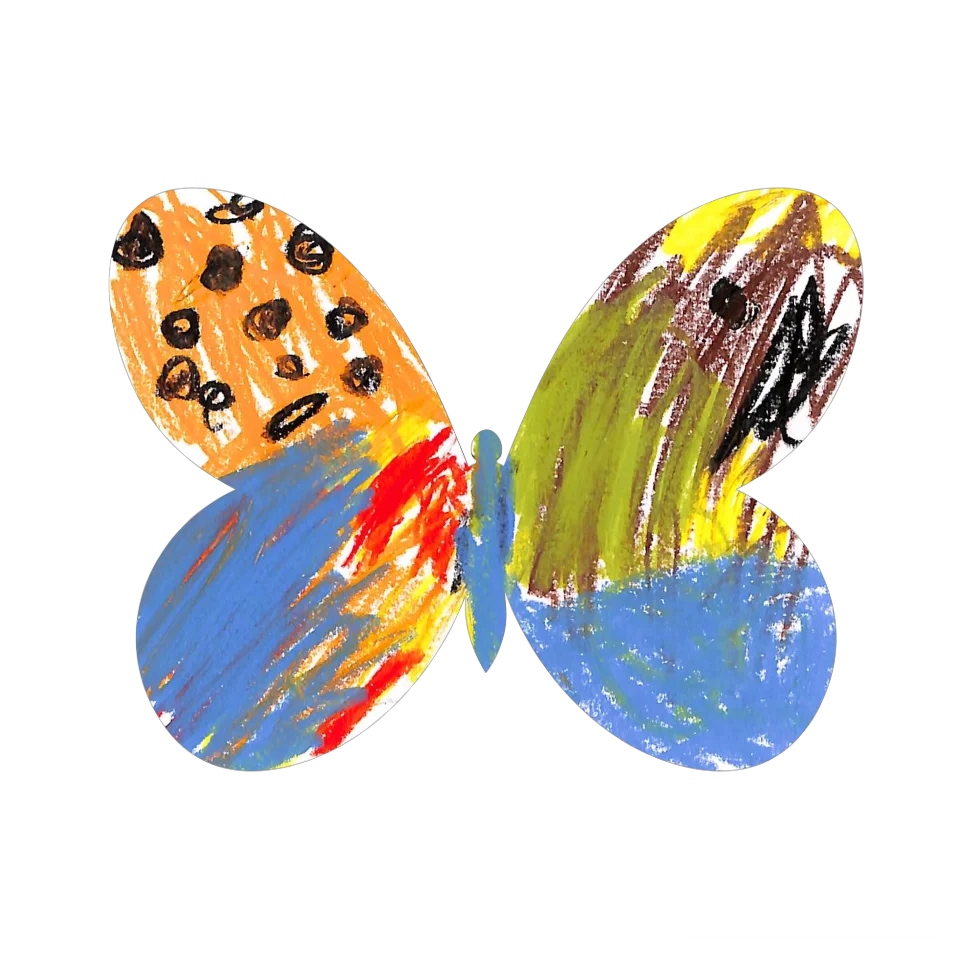 Original Butterfly Image
