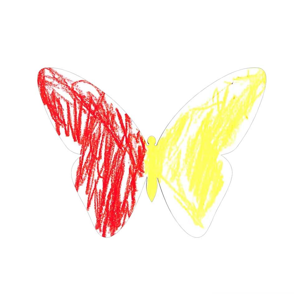 Original Butterfly Image