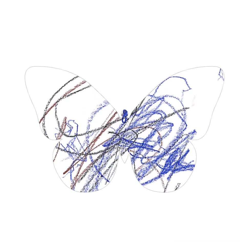 Original Butterfly Image