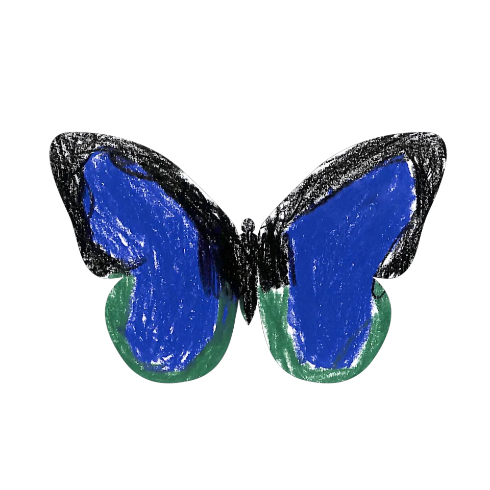 Original Butterfly Image