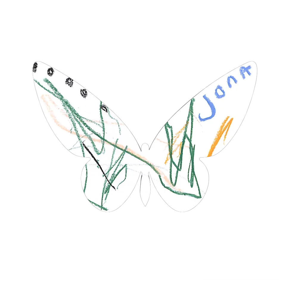 Original Butterfly Image