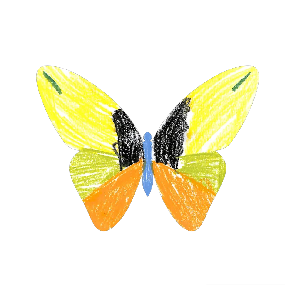 Original Butterfly Image