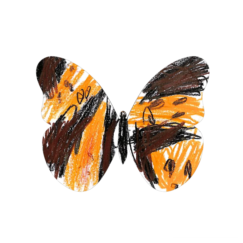 Original Butterfly Image