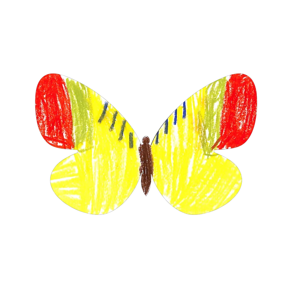 Original Butterfly Image