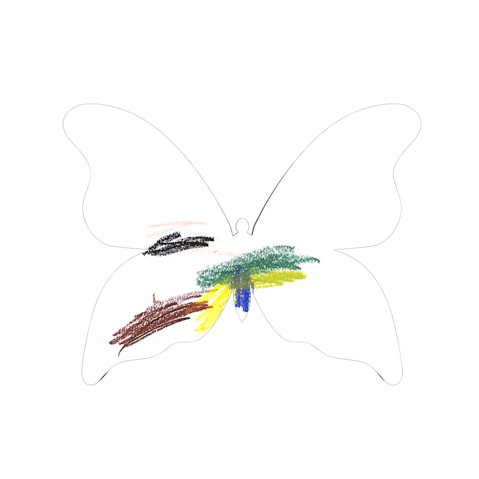 Original Butterfly Image