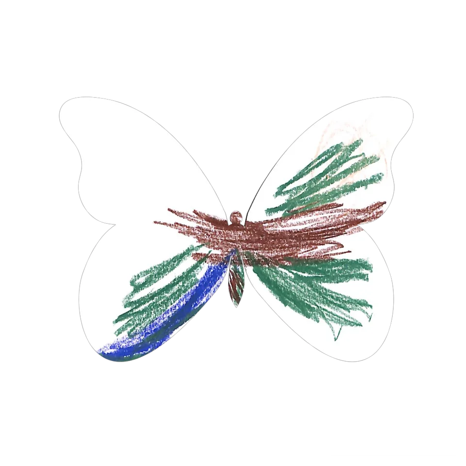 Original Butterfly Image