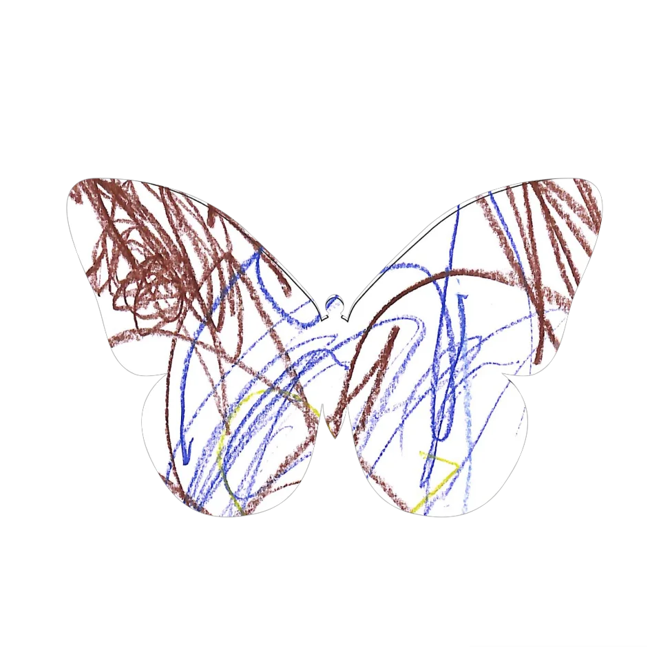 Original Butterfly Image