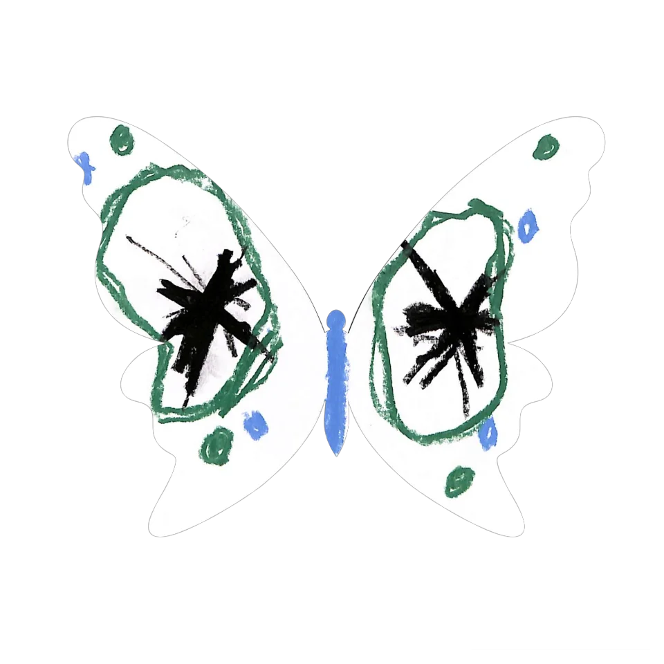 Original Butterfly Image