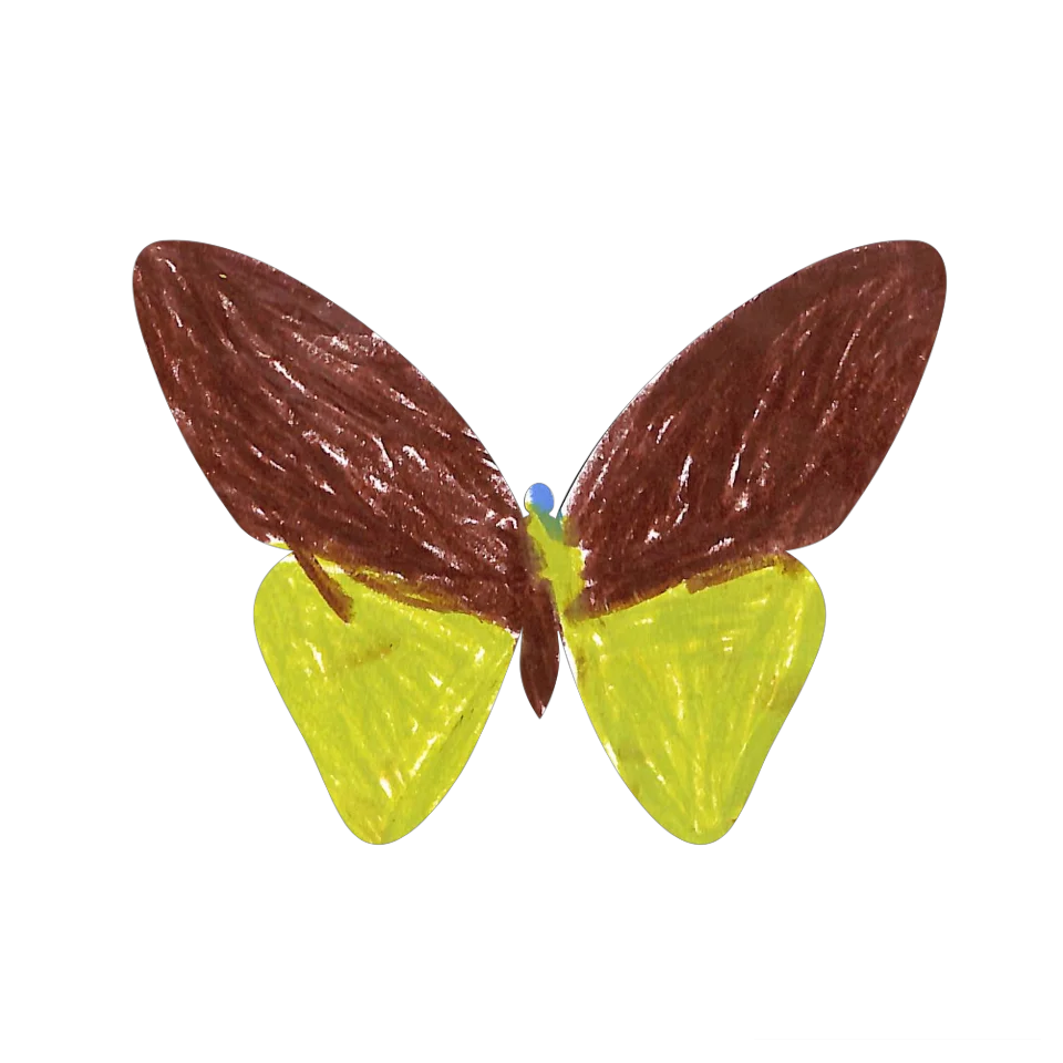 Original Butterfly Image
