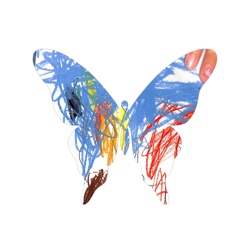 Original Butterfly Image