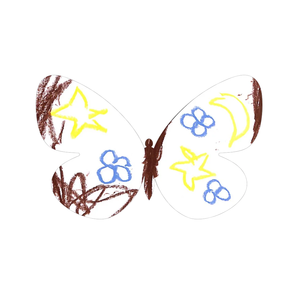Original Butterfly Image