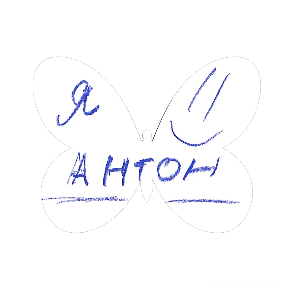 Original Butterfly Image