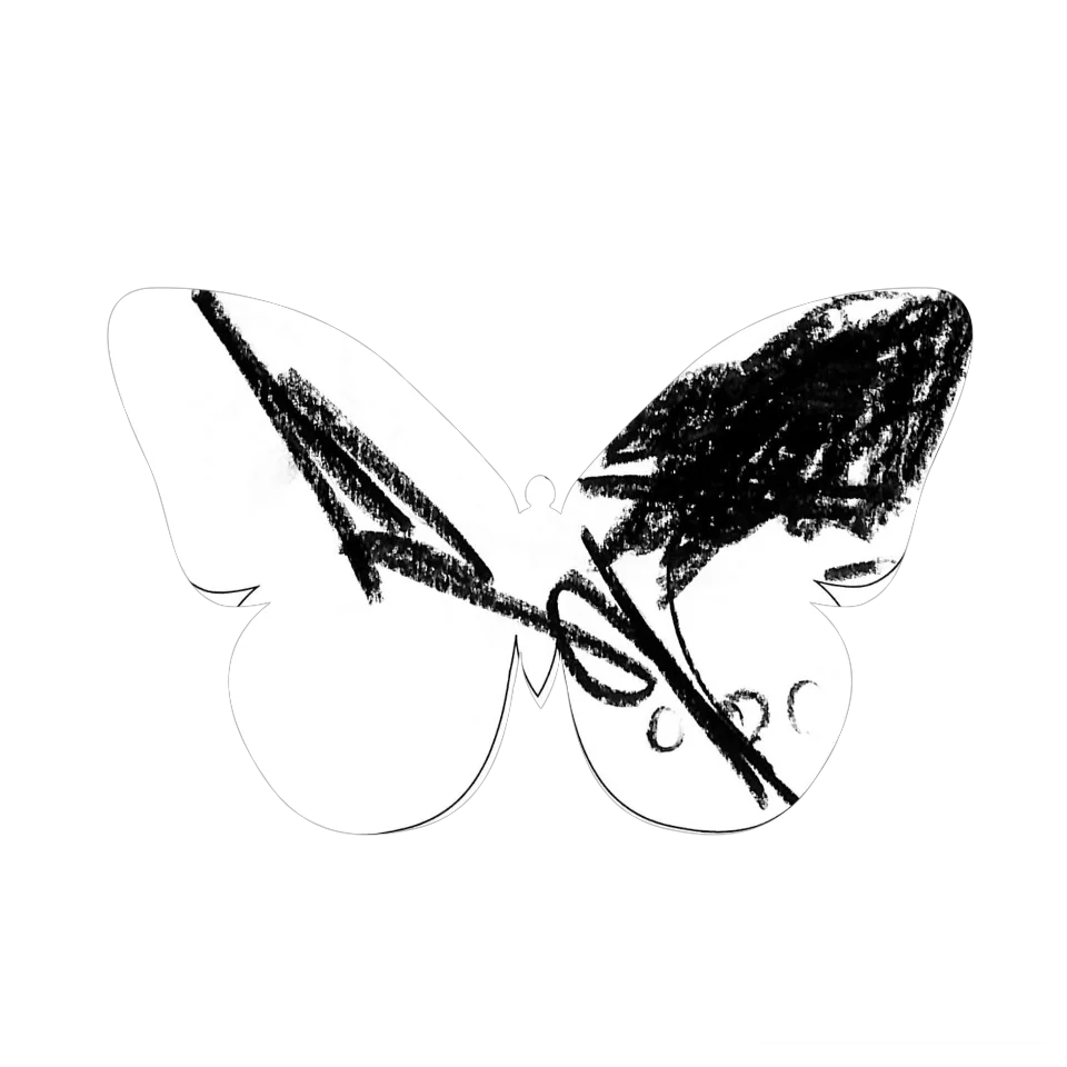 Original Butterfly Image