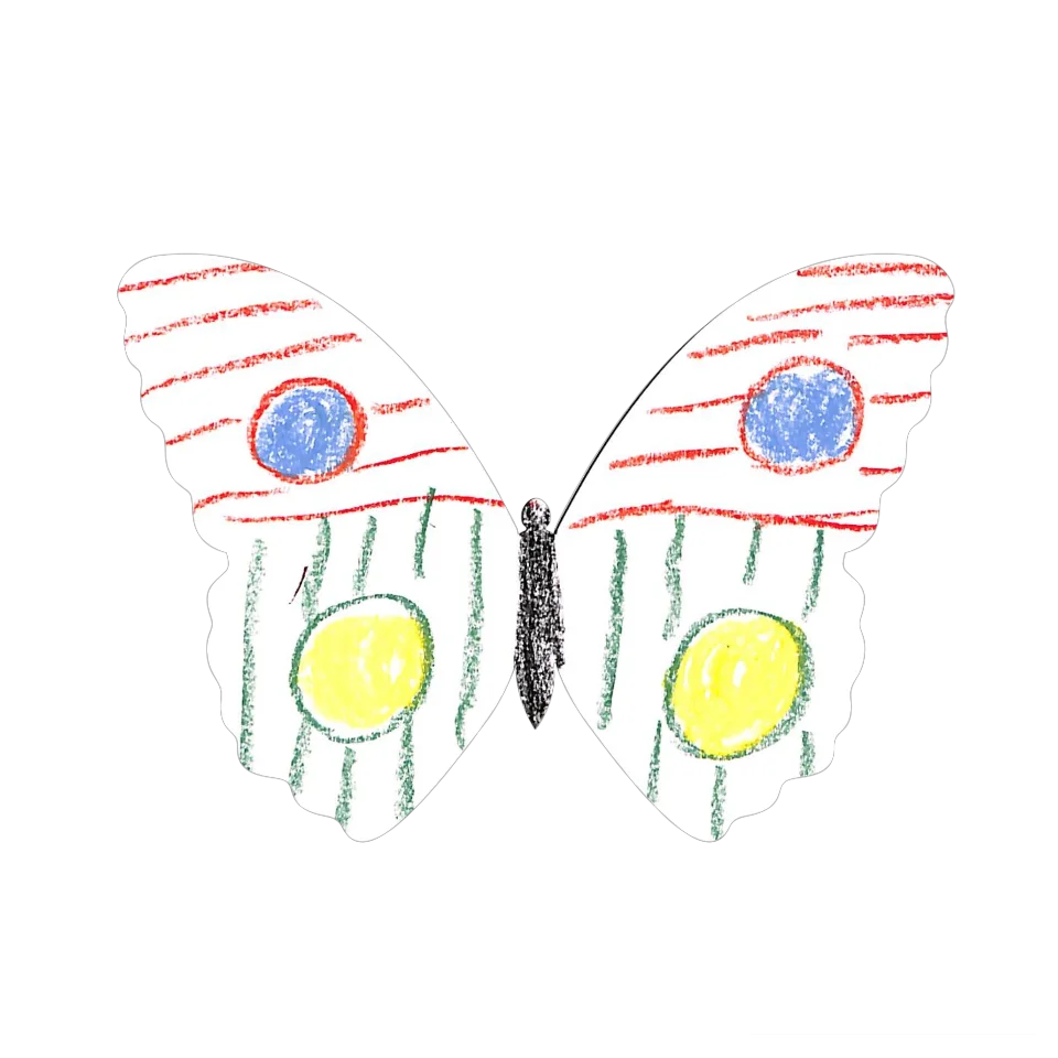 Original Butterfly Image