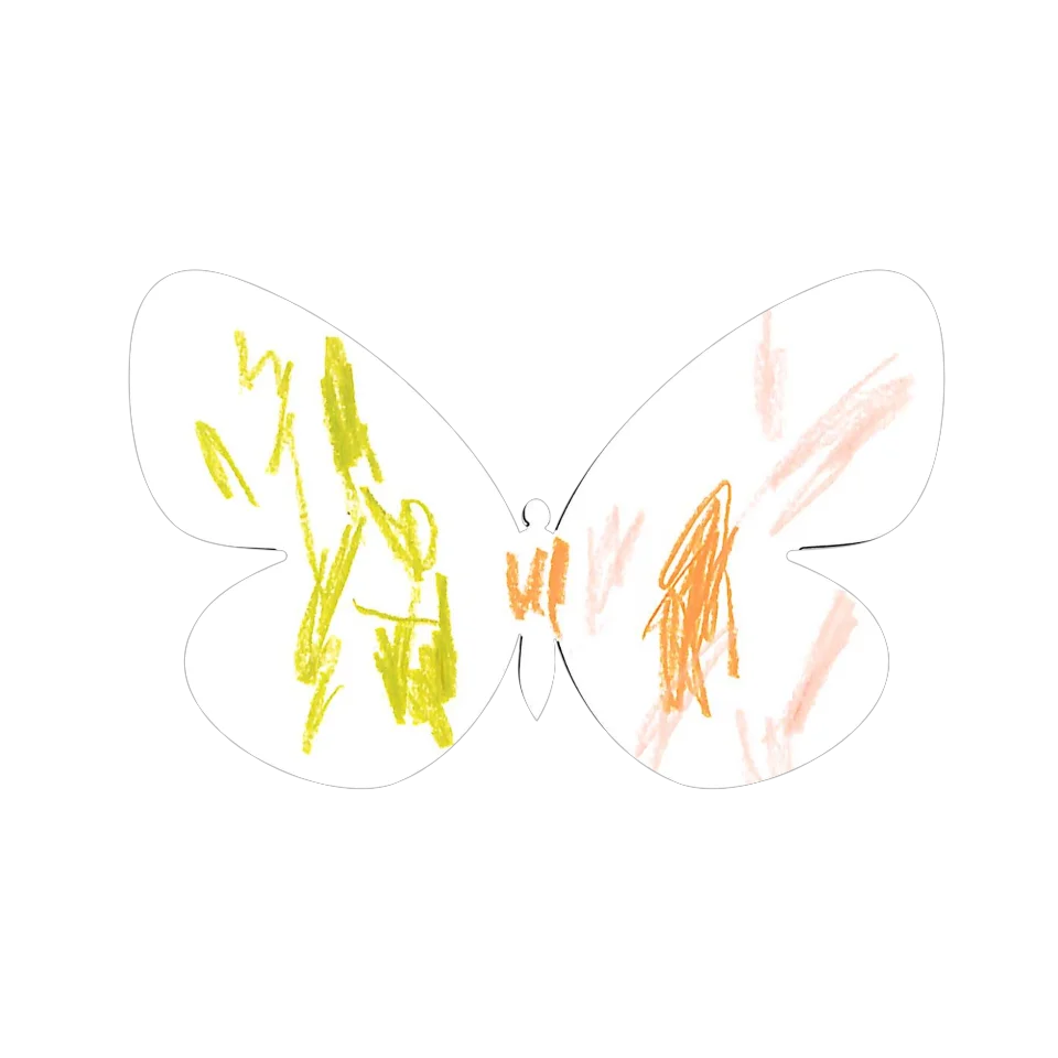 Original Butterfly Image