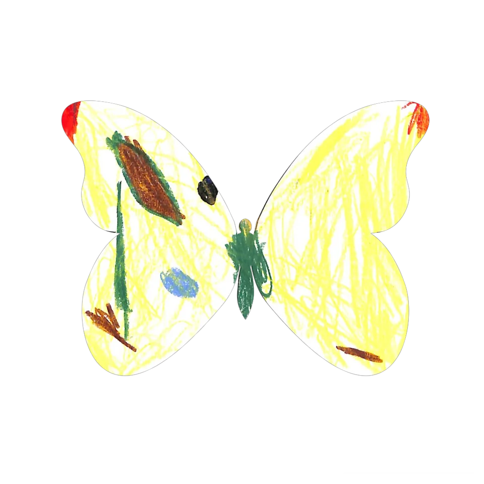 Original Butterfly Image