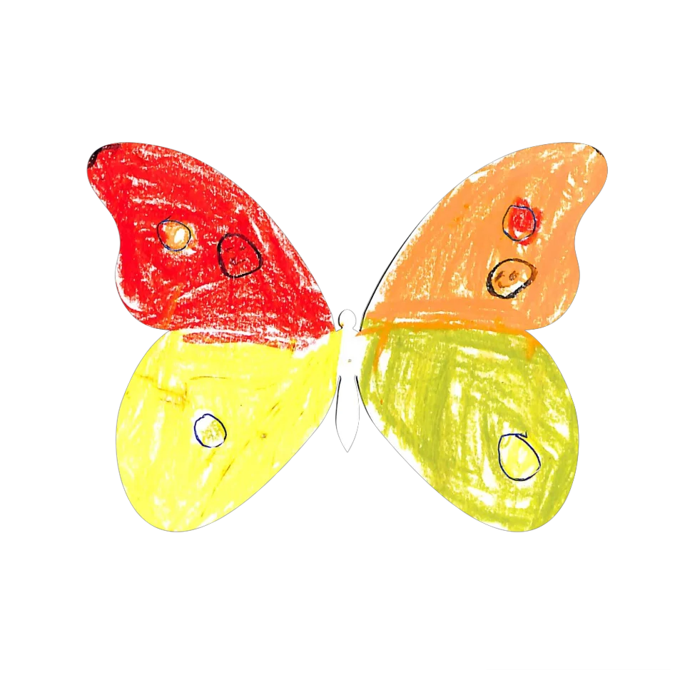 Original Butterfly Image
