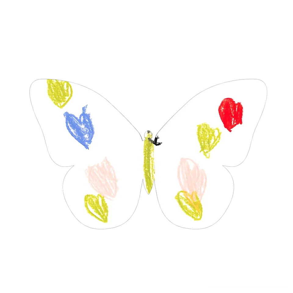 Original Butterfly Image
