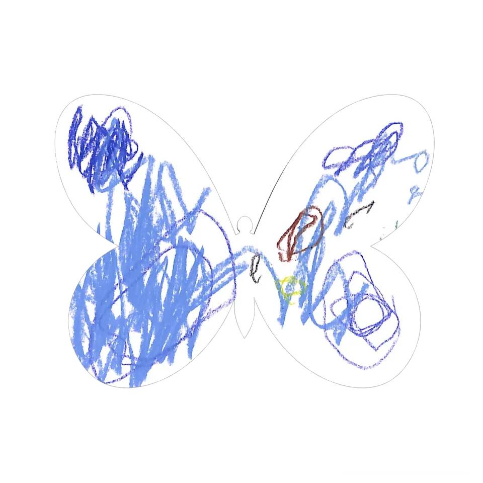 Original Butterfly Image