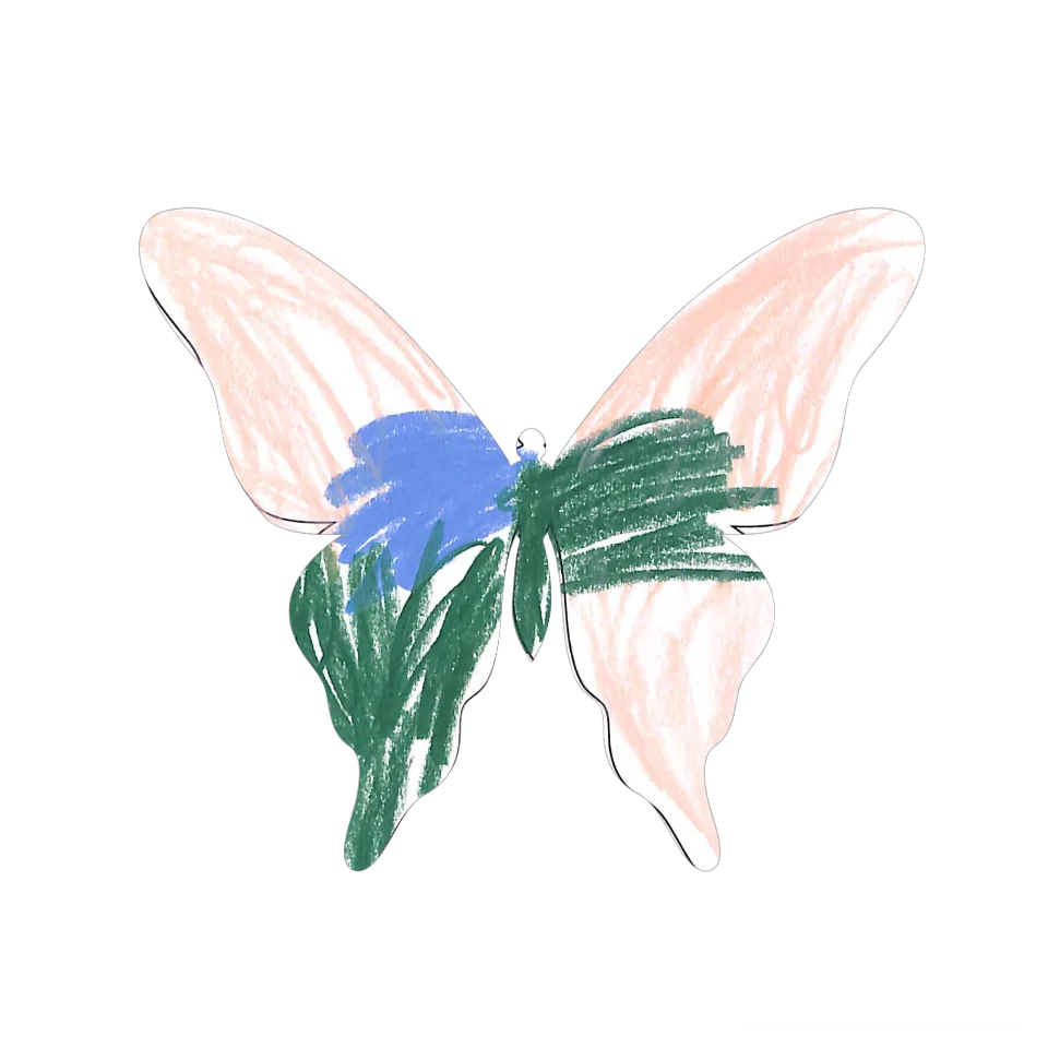 Original Butterfly Image