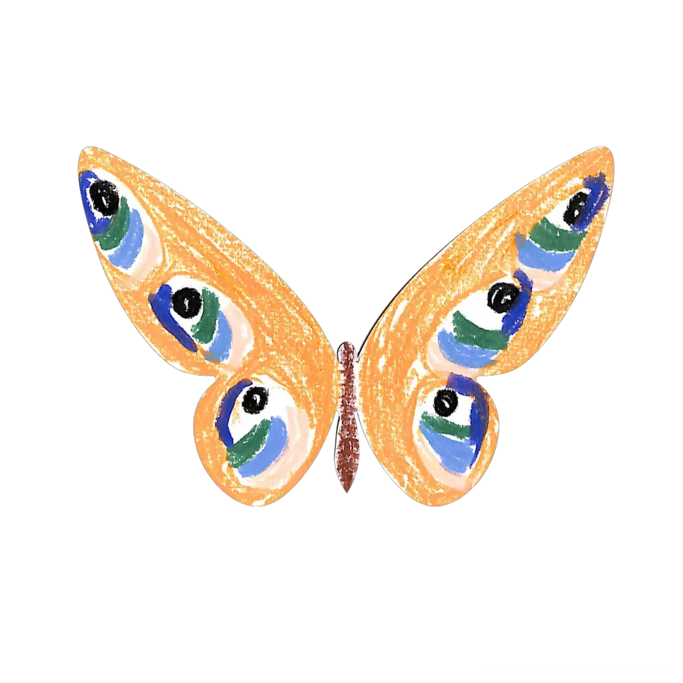 Original Butterfly Image